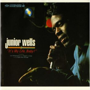Download track It'S My Life, Baby Junior Wells