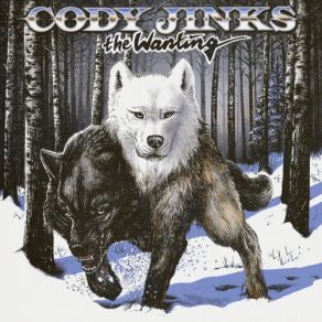 Download track Same Kind Of Crazy As Me Cody Jinks