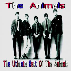 Download track Mess Around The Animals