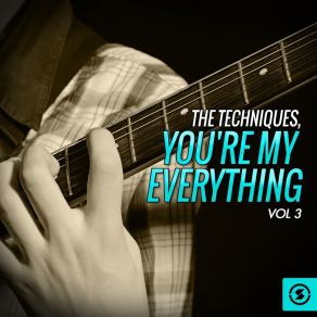 Download track Remember I Told You The Techniques
