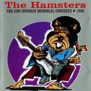 Download track Izabella The Hamsters