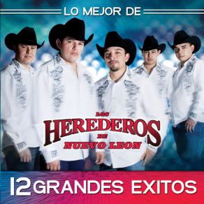 Download track Nomás A La Mitad Los Herederos De Nuevo León