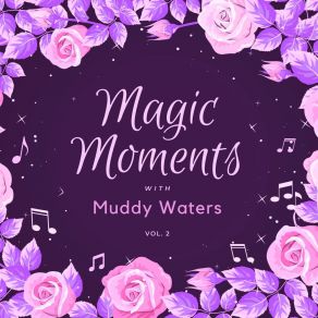 Download track Lonesome Day Muddy Waters