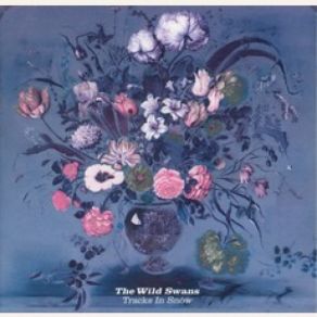Download track Dark Times The Wild Swans