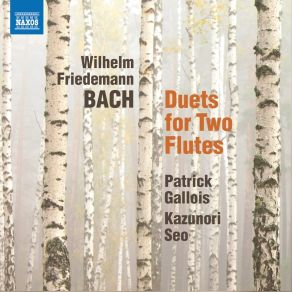 Download track 19. Duet For 2 Flutes In F Minor, F. 58 III. Vivace Wilhelm Friedemann Bach