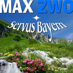 Download track Süchtig Nach Dir Max Zwo