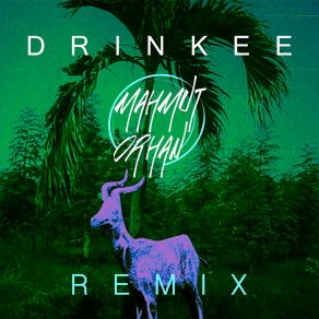 Download track Drinkee (Mahmut Orhan Remix) Sofi Tukker