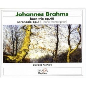 Download track 02. Trio For Horn, Violin & Piano, Op. 40 - II. Scherzo. Allegro. Ape Johannes Brahms
