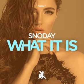 Download track What It Is (Original Club Mix) SnoDay