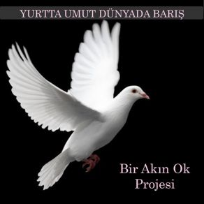 Download track Ellerim Bomboş Fatih Erkoç