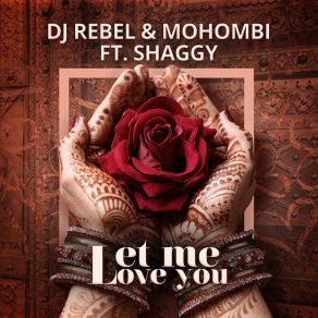 Download track Let Me Love You (Shaggy) DJ RebelShaggy