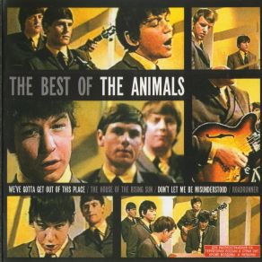 Download track I Believe To My Soul The Animals