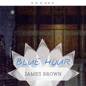 Download track Messing With The Blues James Brown