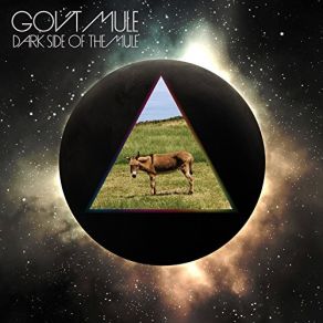 Download track Shine On You Crazy Diamond, Pts. 6 - 9 Gov'T Mule