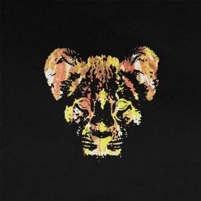 Download track Burn Young Lions