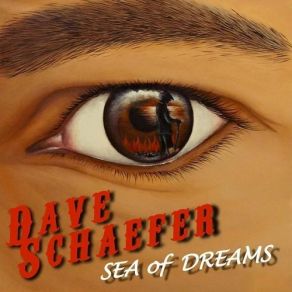 Download track Till We Meet Again Dave Schaefer