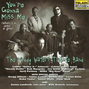 Download track I Don't Know Why Muddy Waters Tribute Band