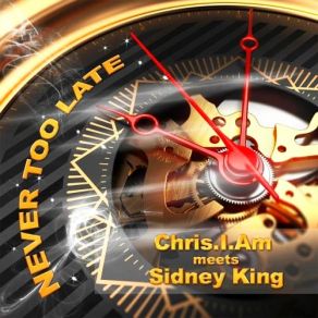 Download track Never Too Late (Kenny Laakkinen Nu Disco Remix) Sidney King, Chris. I. Am