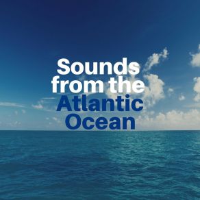 Download track Relaxing Ocean Sounds, Pt. 11 Ocean Therapy