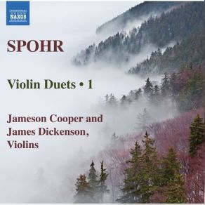 Download track 05. Grand Duo For 2 Violins In E-Flat Major, Op. 39 No. 2 I. Andante Louis (Ludewig) Spohr