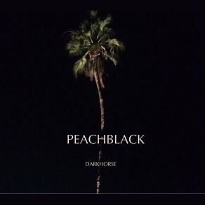 Download track Dark Horse Peachblack
