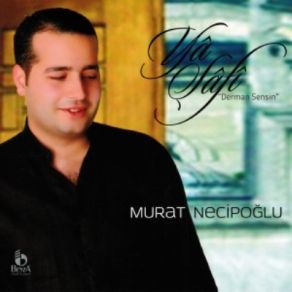 Download track Gönül Sızım Murat Necipoğlu
