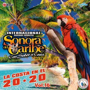 Download track Caribemix Merenguero # 3: Un Hombre Busca Una Mujer / El Cariño Es Como Una Flor / El Coco Marimba Orquesta Sonora Del Caribe