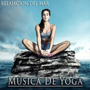 Download track Acupuncture Relajacion Del Mar
