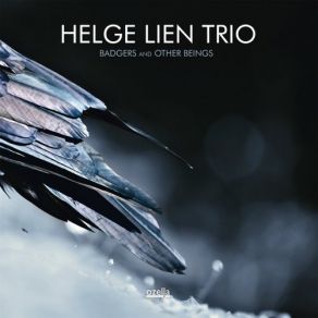 Download track The New Black Helge Lien Trio