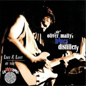 Download track Shake For Me Sir Oliver Mally's Blues Distillery