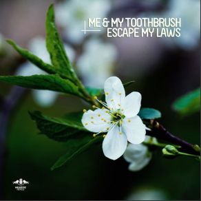 Download track Escape My Laws (Original Mix) Me My Toothbrush