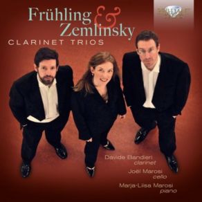 Download track Clarinet Trio In D Minor, Op. 3: I. Allegro Ma Non Troppo Davide Bandieri, Joel Marosi, Marja-Liisa Marosi