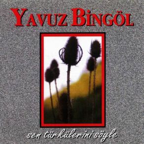Download track Yarim İstanbul'U Mesken Mi Tuttun Yavuz Bingöl