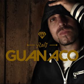 Download track Fuego GuanacoAlika