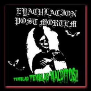 Download track Algo Se Nutre De Sangre! Eyaculación Post-Mortem