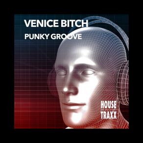 Download track Punky Groove (Reworked) Venice Bitch