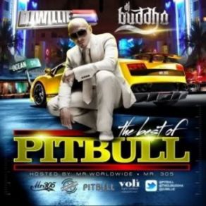 Download track I Know You Want Me PitbullCalle Ocho