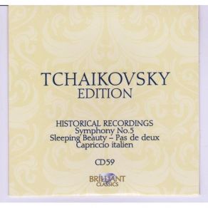Download track Symphony No. 5 In E Minor, Op. 64 - II. Andante Cantabile, Con Alcuna Licenza Piotr Illitch Tchaïkovsky