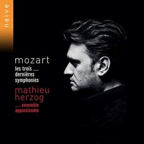 Download track 07. Symphony No. 40 In G Minor, K. 550 - III. Menuetto Mozart, Joannes Chrysostomus Wolfgang Theophilus (Amadeus)