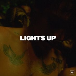 Download track Lights Up Harry Styles