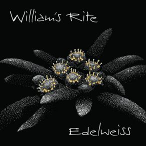 Download track Capture The Flag William's Rite