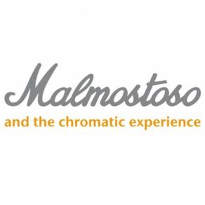 Download track I Don'T Care Malmostoso & The Chromatic Experience