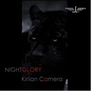 Download track Winged Child Kirlian Camera