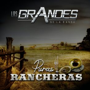 Download track El Engañado Los Grandes De La Banda