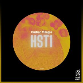 Download track Windows Colors (Remaster Version) Cristian Villagra