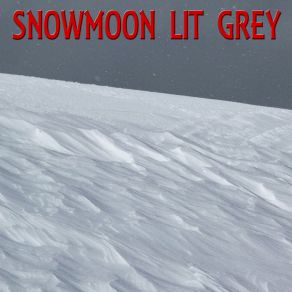 Download track Recalling Snowmoon Lit Grey