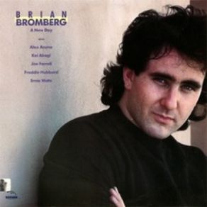 Download track Take A Walk In The Park With Me Brian Bromberg