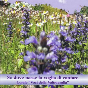 Download track La Notte In Montagna Voci Della ValtravagliaLudwig Van Beethoven