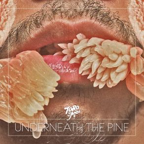 Download track Elise Toro Y Moi