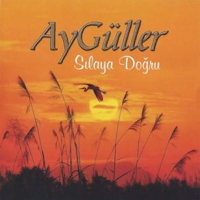 Download track Hey Erenler Gözüm Yasi' Aygüller